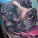Tattoos - Portrait of Demi - 59900